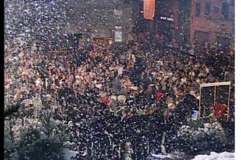 6. Neve