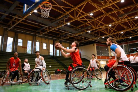 Volpi-Rosse-Menarini